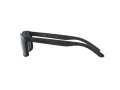 Arnette Slickster Solglasögon AN 4185 218887