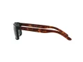 Arnette Slickster Solglasögon AN 4185 227381