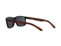 Arnette Slickster Solglasögon AN 4185 227381