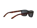 Arnette Slickster Solglasögon AN 4185 227381