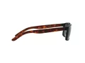 Arnette Slickster Solglasögon AN 4185 227381