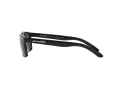 Arnette Slickster Solglasögon AN 4185 41/81