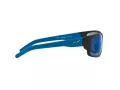 Arnette Fastball Solglasögon AN 4202 226855