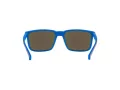 Arnette Stripe Solglasögon AN 4251 286422