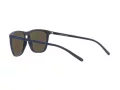 Arnette Fry Solglasögon AN 4301 275922