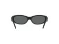 Arnette Catfish Solglasögon AN 4302 275881