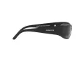 Arnette Catfish Solglasögon AN 4302 275881