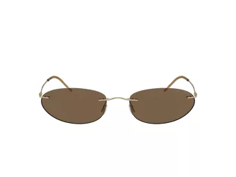 Giorgio Armani Solglasögon AR 1508M 300273