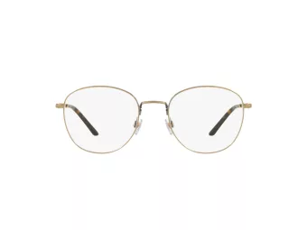 Giorgio Armani Glasögon AR 5082 3198