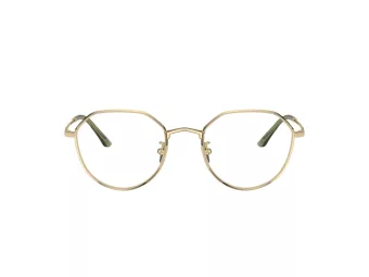 Giorgio Armani Glasögon AR 5142 3013