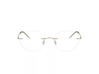 Giorgio Armani Glasögon AR 5147 3002