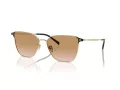 Giorgio Armani Solglasögon AR 6155 301313