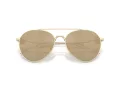 Giorgio Armani Solglasögon AR 6167 30130W