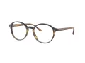 Giorgio Armani Glasögon AR 7004 5912