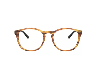 Giorgio Armani Glasögon AR 7074 5562