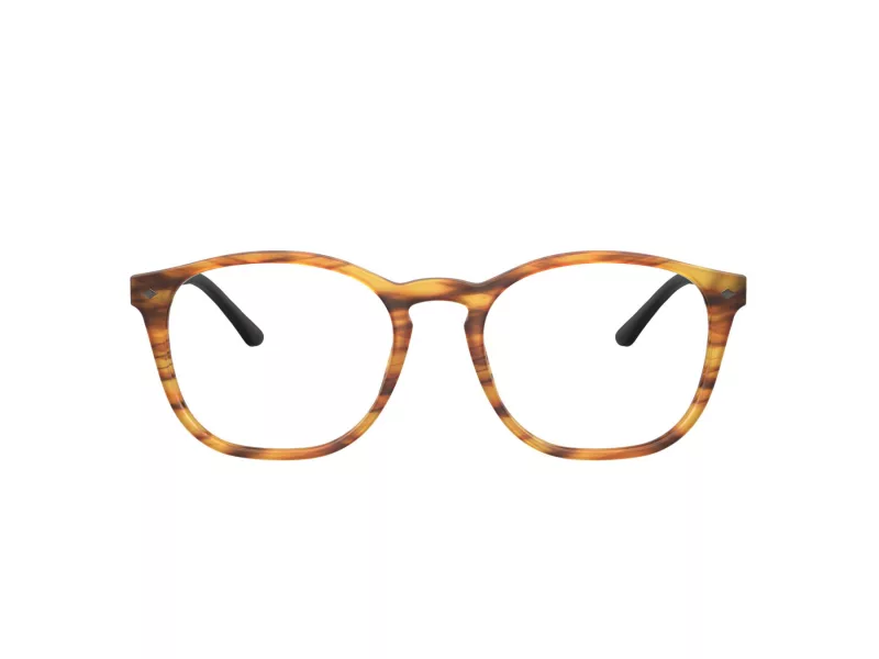 Giorgio Armani Glasögon AR 7074 5562