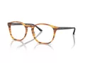 Giorgio Armani Glasögon AR 7074 5562