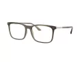 Giorgio Armani Glasögon AR 7122 5587