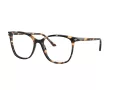 Giorgio Armani Glasögon AR 7192 5847