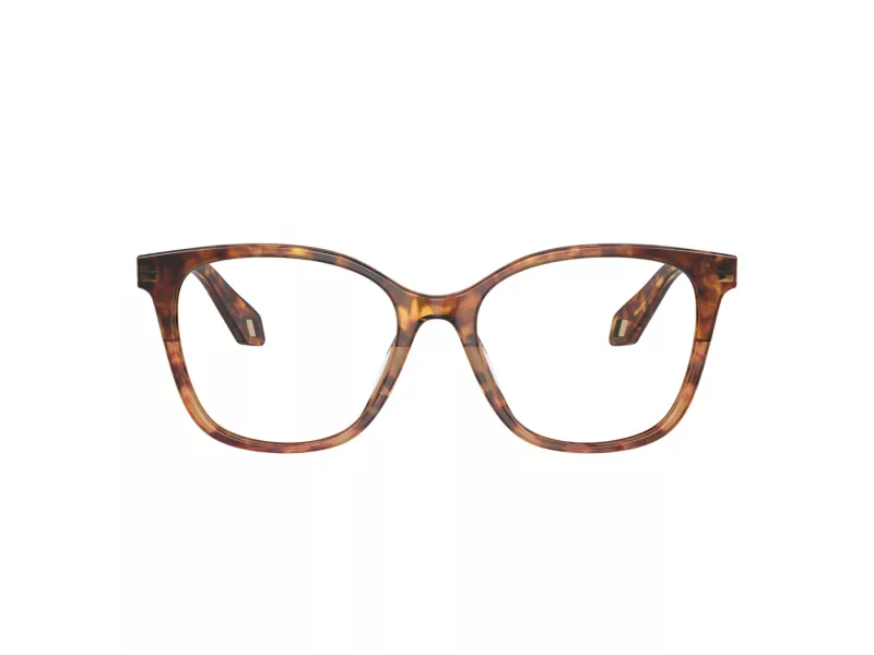 Giorgio Armani Glasögon AR 7246U 6033