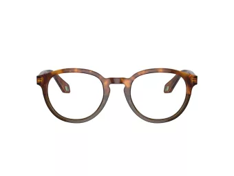 Giorgio Armani Glasögon AR 7248 5988