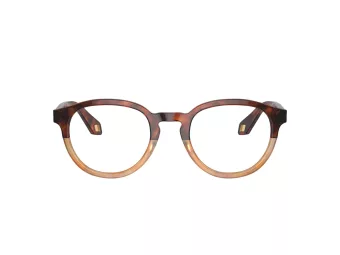 Giorgio Armani Glasögon 7248 6034