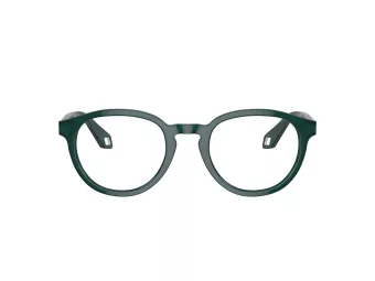 Giorgio Armani Glasögon AR 7248 6044