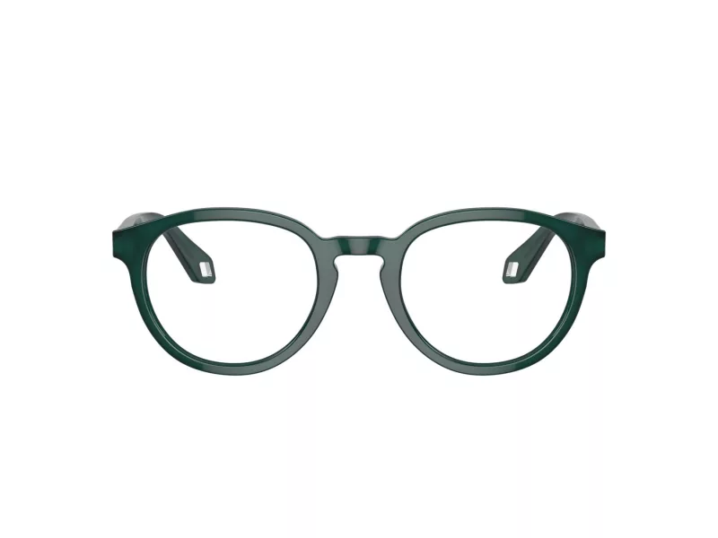 Giorgio Armani Glasögon AR 7248 6044