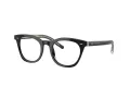Giorgio Armani Glasögon AR 7251 5875