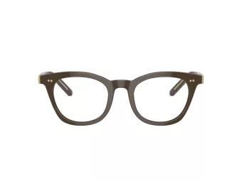 Giorgio Armani Glasögon AR 7251 6040