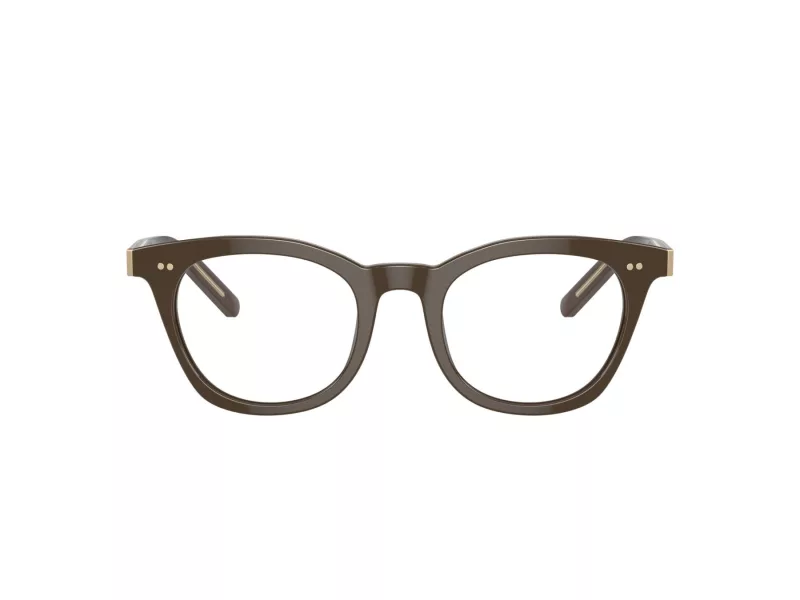 Giorgio Armani Glasögon AR 7251 6040