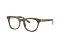 Giorgio Armani Glasögon AR 7251 6040