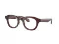 Giorgio Armani Glasögon AR 7253 6062