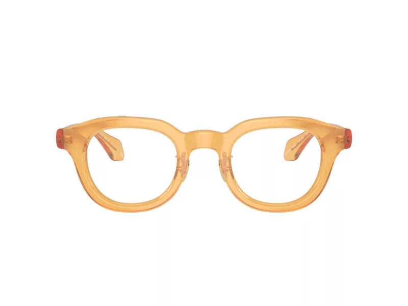 Giorgio Armani Glasögon AR 7253 6063