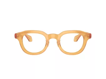 Giorgio Armani Glasögon AR 7253 6063