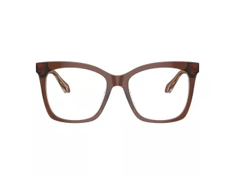 Giorgio Armani Glasögon AR 7254U 6090