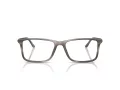 Giorgio Armani Glasögon AR 7261 6166
