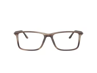 Giorgio Armani Glasögon AR 7261 6167