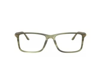 Giorgio Armani Glasögon AR 7261 6168