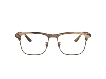 Giorgio Armani Glasögon AR 7262 6065