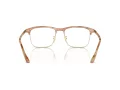Giorgio Armani Glasögon AR 7262 6067