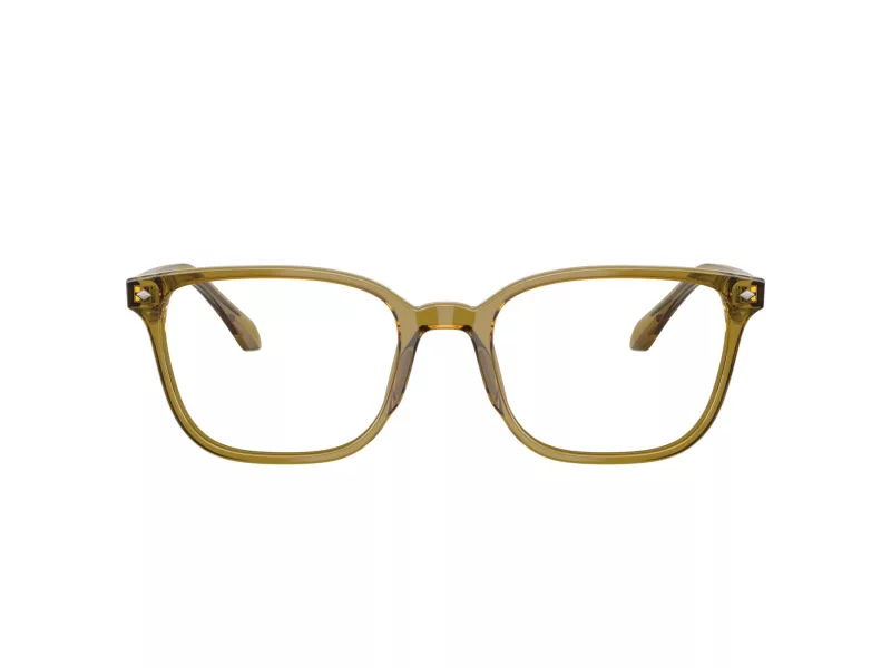 Giorgio Armani Glasögon AR 7265 6172
