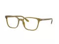Giorgio Armani Glasögon AR 7265 6172