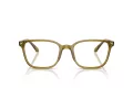 Giorgio Armani Glasögon AR 7265 6172