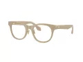 Giorgio Armani Glasögon AR 7269 6161