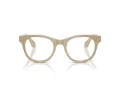 Giorgio Armani Glasögon AR 7269 6161