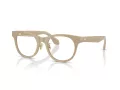 Giorgio Armani Glasögon AR 7269 6161