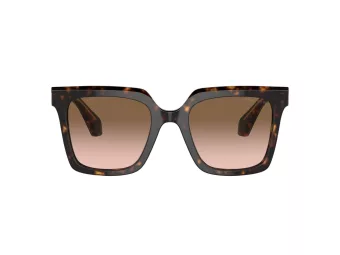 Giorgio Armani Solglasögon AR 8156 587951