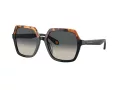 Giorgio Armani Solglasögon AR 8193U 587519