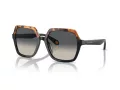 Giorgio Armani Solglasögon AR 8193U 587519